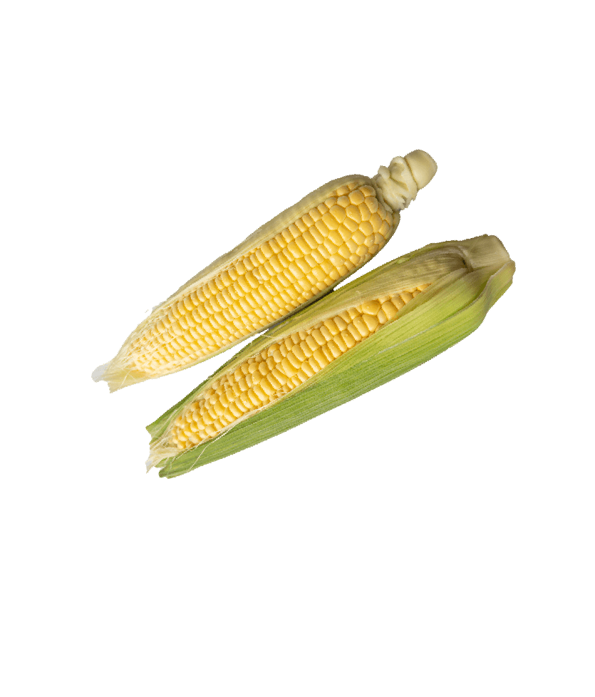 とうもろこし